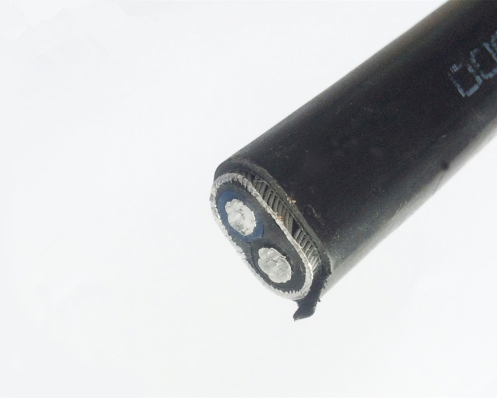 Concentric Cable 