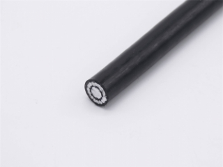 Concentric Cable 